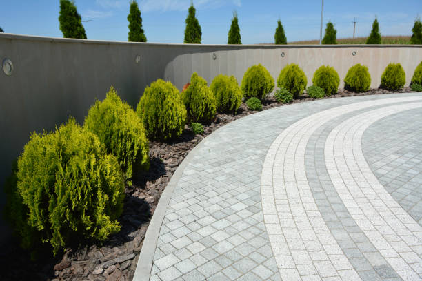 Best Decorative Driveway Pavers  in Ferris, TX